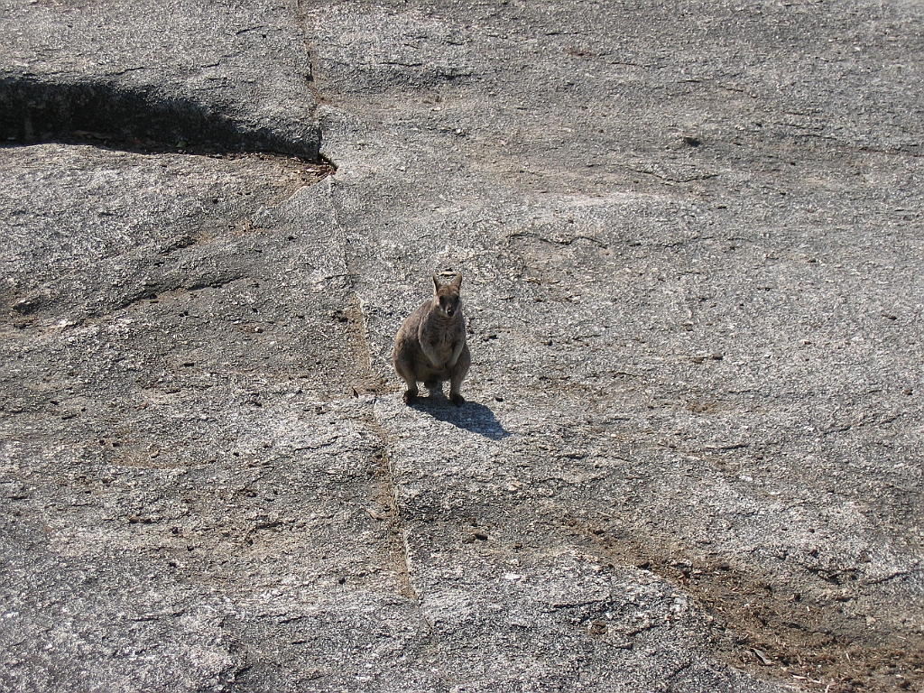 CairnsTC119 Granite Gorge.jpg